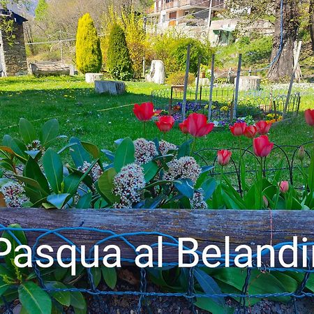 Belandin Ristorante Hotel Teglio Exterior photo